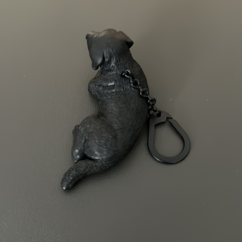 Lab Keychain - Picture 3 of 5